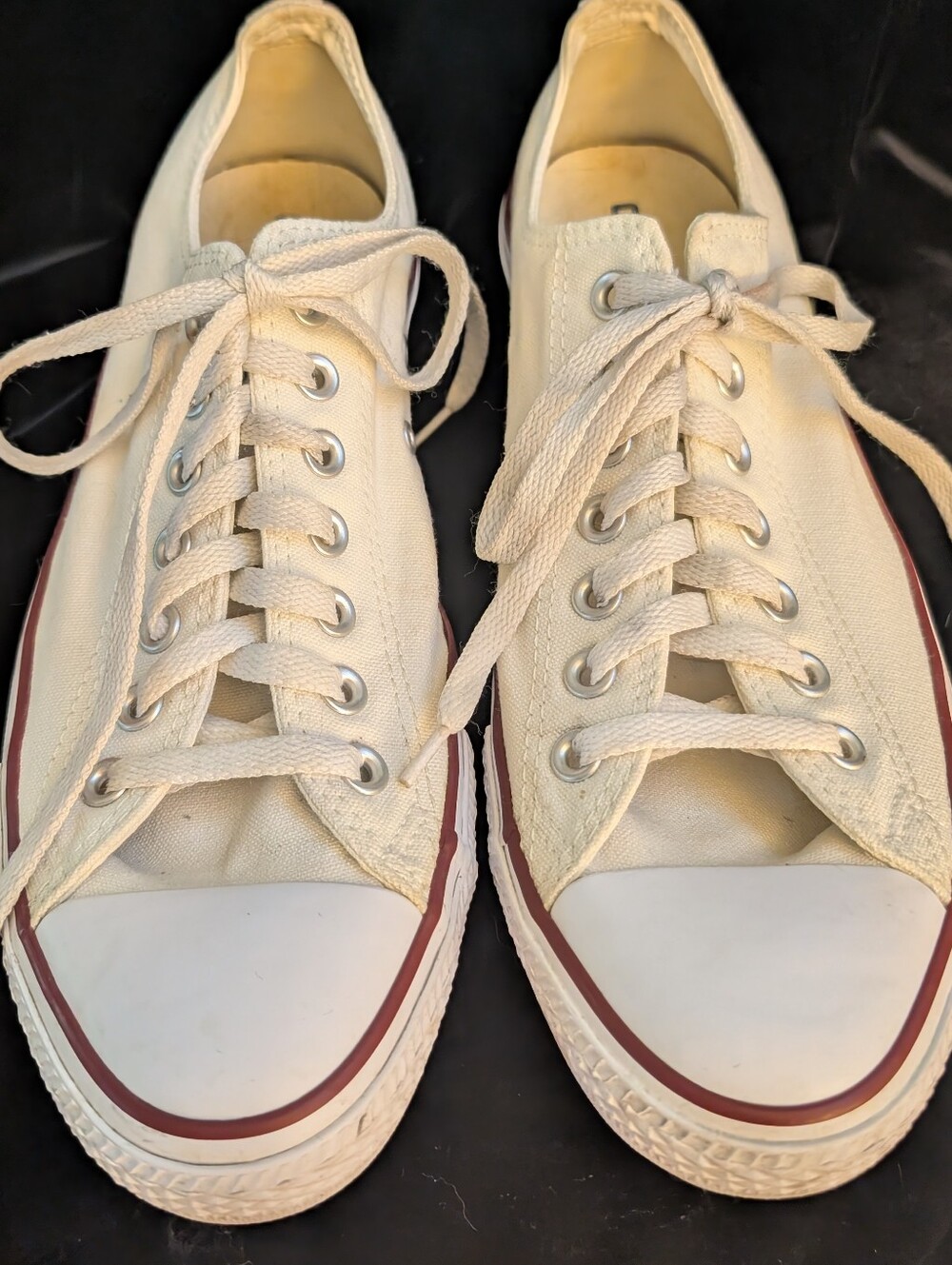 Converse Canvas  in Cream with Burgundy Trim